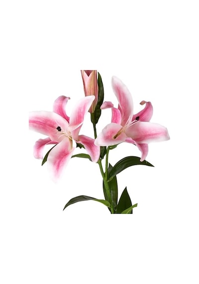 Yapay Çiçek Zambak Pembe-beyaz 85 Cm.