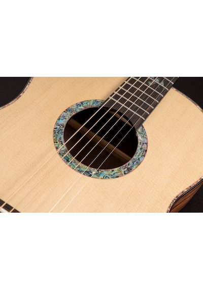 Washburn Bts24s Bella Tono Elegante S24s Abanoz Klavye Zengin D