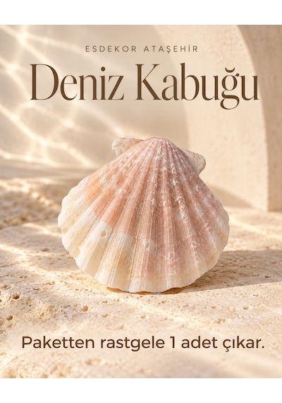 Yelpaze Formlu Dekoratif Deniz Kabuğu 1 Adet