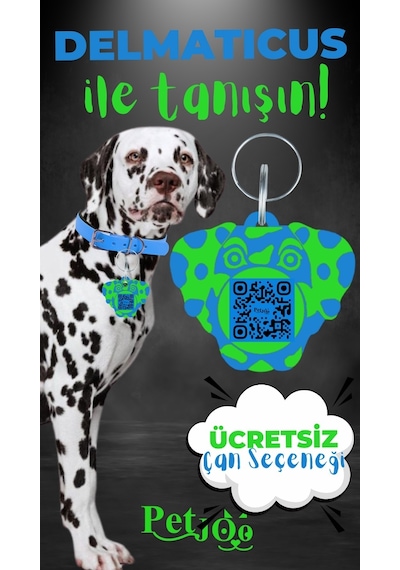Petjoo 28.Delmaticus Yeşil-Mavi Qr'lı Köpek Künyesi