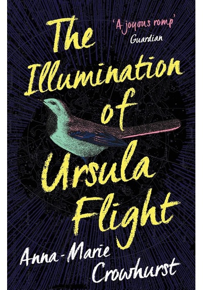 The Illumination Of Ursula Flight