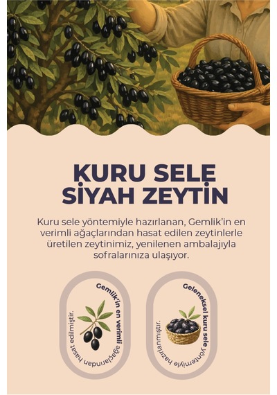 Kuru Sele Siyah Gemlik Zeytin 300 Gr