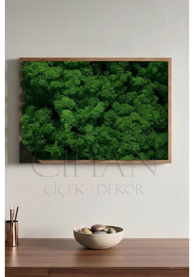 Cihan Çiçekçilik Koyu Yeşil Şoklanmış Norveç Moss Ren Geyiği Yosunu 500 Gr Haki