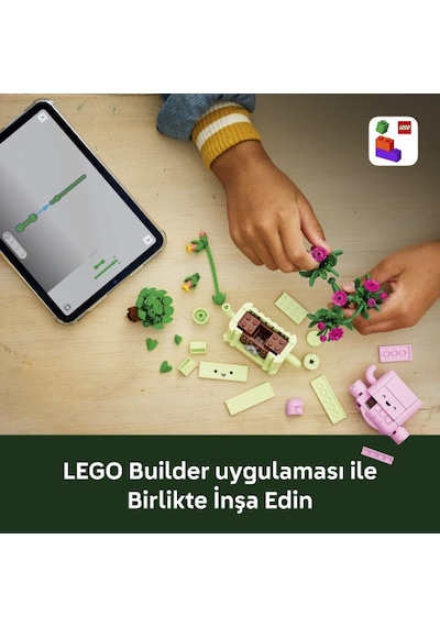 LEGO® Botanicals Sallanan Bitkiler 11506 - 9 Yaş ve Üzeri Çocuklar için Yaratıcı Çiçek Yapım Seti (253 Parça)