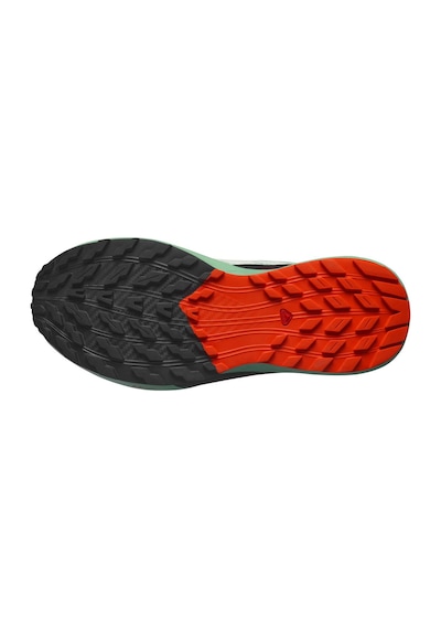 Salomon Sense Ride 5 Kadın Patika Koşusu Ayakkabısı Yeşil
