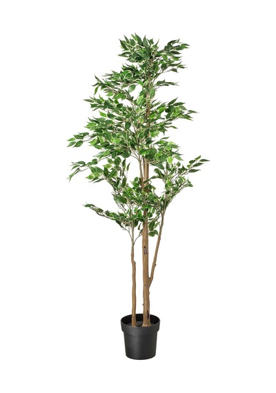 Yapay Bitki , Yeşil, 21 Cm, Benjamin, İç-dış Mekan Diğer