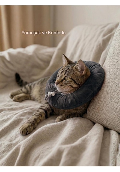 Patiderm Elizabeth Yakalık Yumuşak Ayarlanabilir Kedi Köpek Koruyucu Boyunluk, Gri, L Beden Çok Renkli