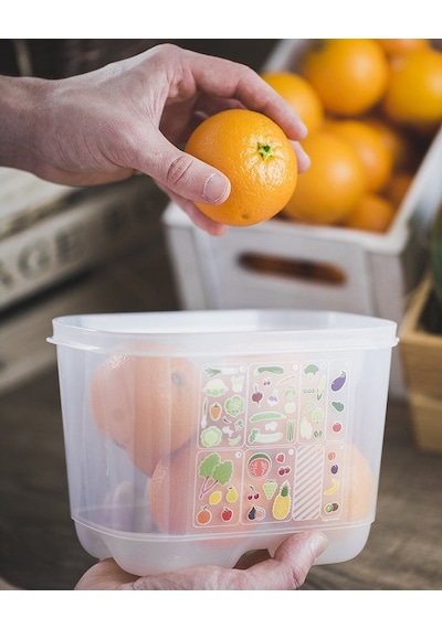 Tupperware Sera 18 Saklama Kabı - Kare Çok Renkli