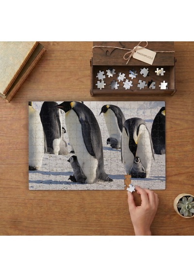 Anneler Ve Yavru Penguenler Tasarımı 240 Parça Ahşap Puzzle Ahşap Kutuda Mpy50400