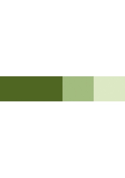 Schmincke Horadam Gouache Artist Guaj Boya 15 Ml Seri 2 532 Olive Green Çok Renkli