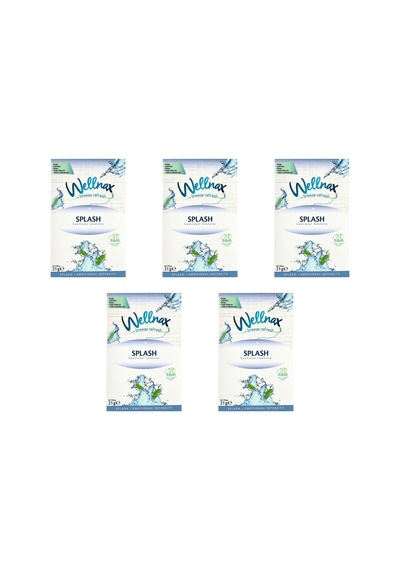 Wellnax Dolap ve Çekmece Kokusu Splash Etkisi Kesesi 5 x 21 G