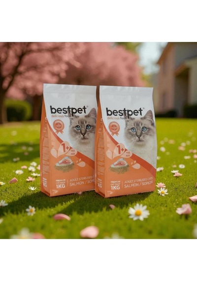 Bestpet Kısırlaştırılmış Somonlu Yetişkin Kedi Maması 2 x 1 KG