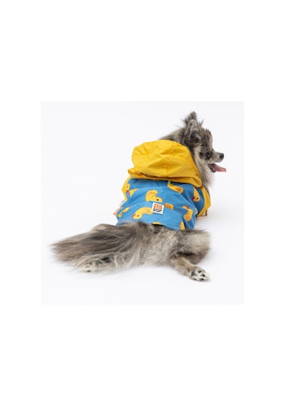 Pawstar Pekin Yağmurluk Küçük Ve Orta Irk