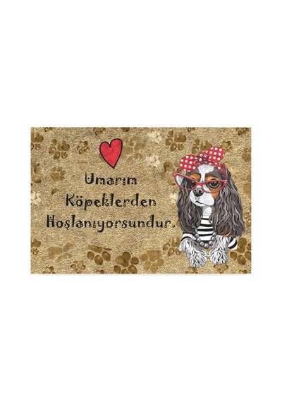 Tasarımlı Dekoratif Kapı Önü Paspas, Dış Mekan/ev İçi/banyo/mutfak/yatak Odası/giriş Paspasları Umarım Köpeklerden Hoşlanıyorsundur, 40x60 Sku: Zeusb0bk1qmyms 11ypycoco