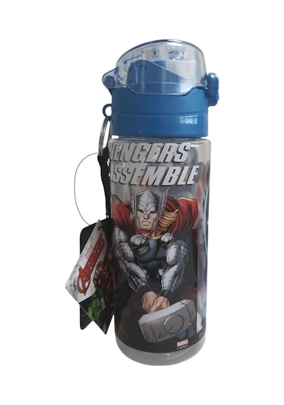 Frocx Avengers Lisanslı 500 Ml Matara Çok Renkli