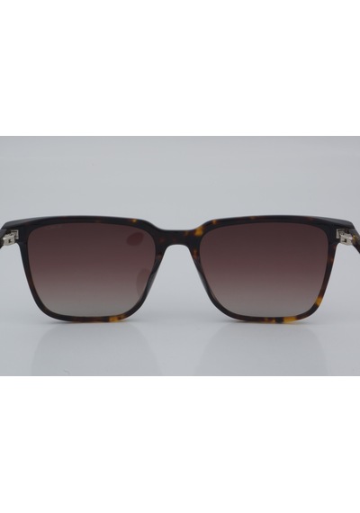 Blancia Bc 1207 C2 55 - 01 Güneş Gözlüğü Leopar