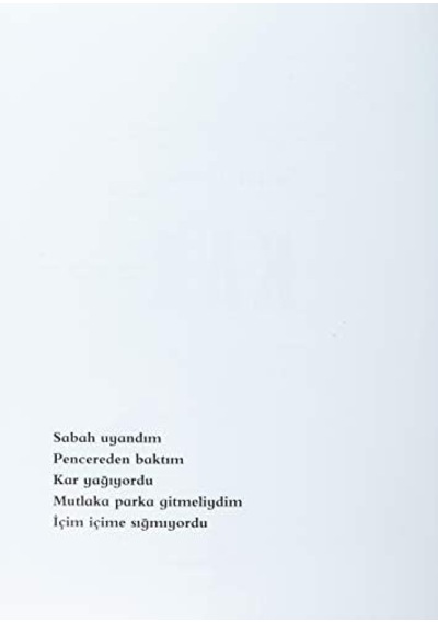 Kar: Eğlenceli Bir Kış Macerası