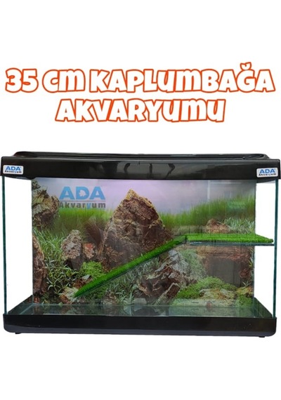 Ada Akvaryum Su Kaplumbağası Akvaryumu Bahçeli Rampalı Dinlenme 35x25x15 Cm Arka Plan Hediyeli