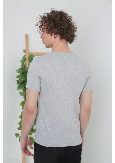 Erkek Bisiklet Yaka Basic T-Shirt - Gri