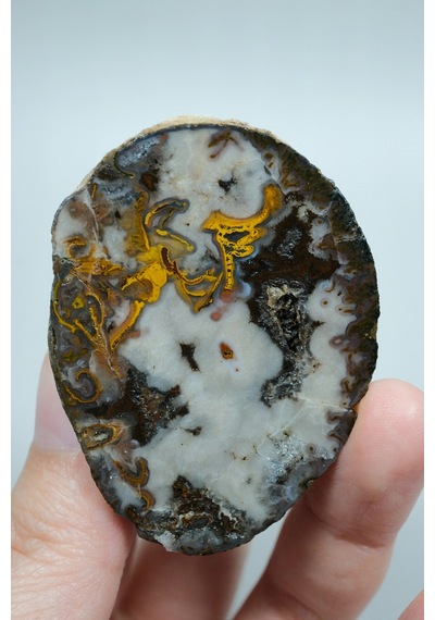 Plume Black Sea Agate Beyaz, Derin Kahverengi Ve Altın Turuncu Agate