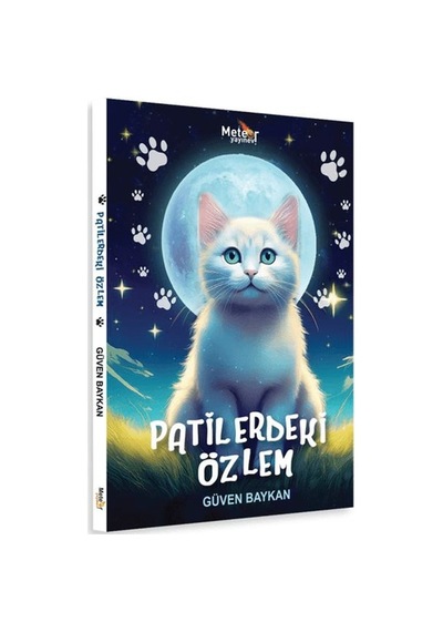 Patilerdeki - Ybve-667098