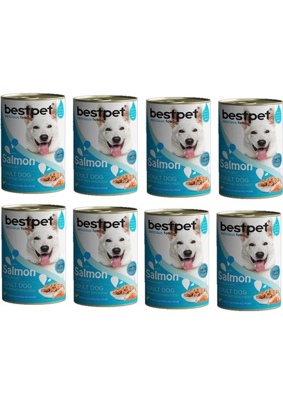 Bestpet Somon Balıklı Konserve Yetişkin Köpek Maması 12 x 400 G