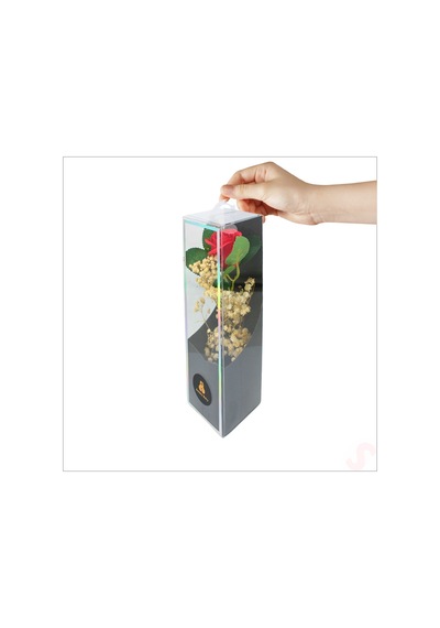 Pvc Kutulu Cipsolu Yapay Kırmızı Gül - 25cm X 7cm