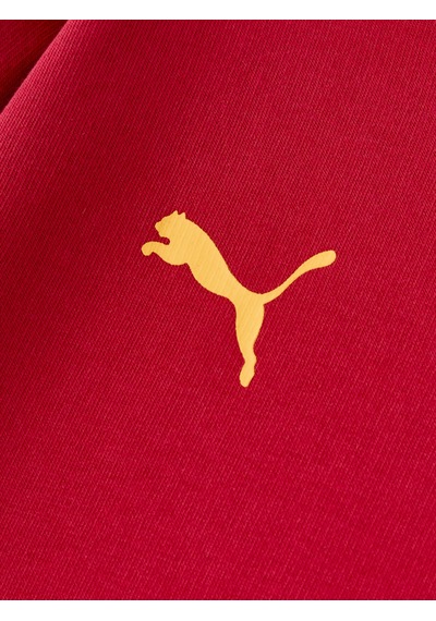 Gsstore Galatasaray Puma Çocuk Kapüşonlu Sweatshirt 78291424 Kırmızı
