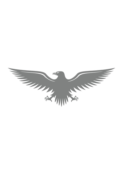 Kartal Sticker17x17 Cm Gri