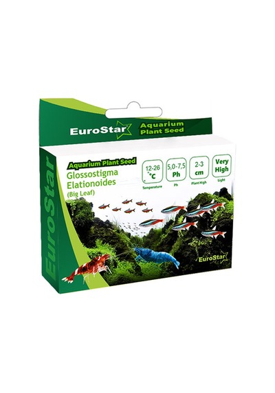 Eurostar - 994 - Bitki Tohum - Spt-gld - Glossostigma Elatinoides