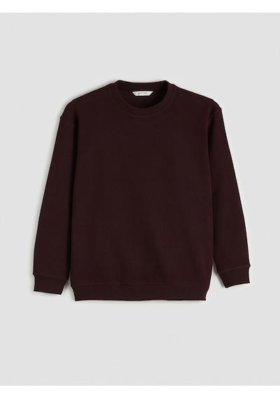 Lcw Vision Kahverengi Bisiklet Yaka Kalın Kumaş Erkek Sweatshirt