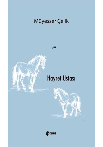 Hayret Ustası / Müyesser Çelik