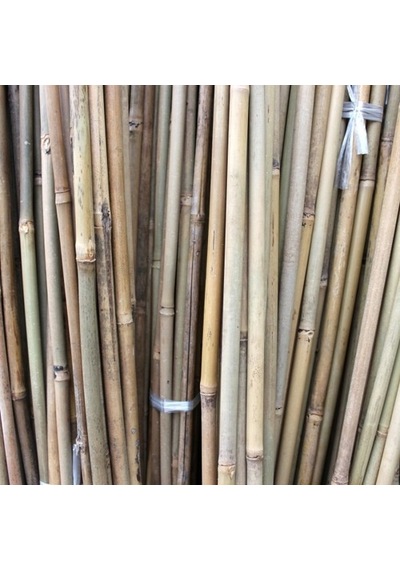 Bambu Çubuk Bitki Destek Çubuğu 10 Adet 22-24 Mm X 210 Cm