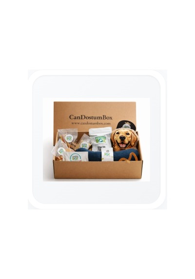 Candostumbox Evcil Hayvan Hediye Kutusu Oyuncak Ve Atıştırmalık
