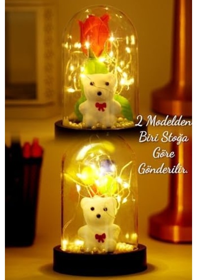 Telvesse 3 Modlu Led Işıklı Fanus İçinde Beyaz Ayıcık Detaylı Sevgiliye Hediyelik Dekoratif Gece Lambası