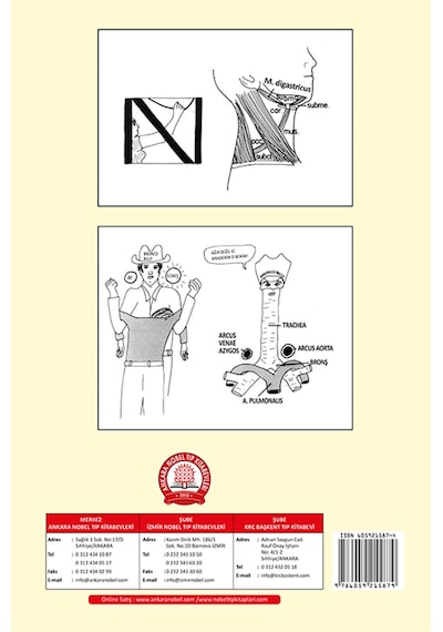 Basitleştirilmiş Klinik Anatomi- Ankara Nobel Tıp