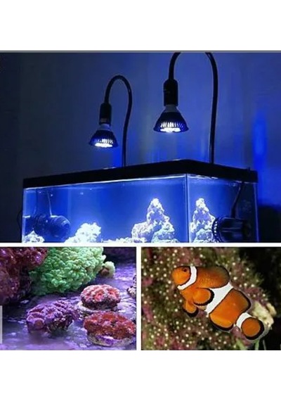 Kingbo Led Akvaryum Bitki Ampulü C256x
