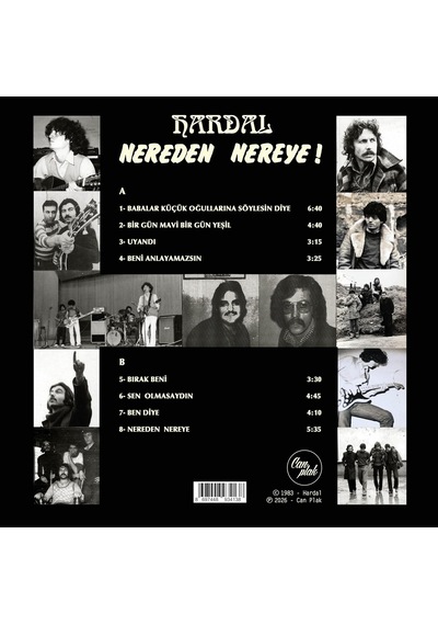 Hardal Nereden Nereye Renkli Plak, Lp Vinyl