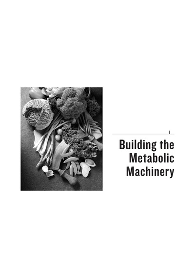 The Keto Reset Diet: Reboot Your Metabolism İn 21 Days And Burn Fat Forever