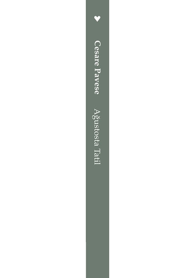 Ağustosta Tatil -  Cesare Pavese - Can Yayınları