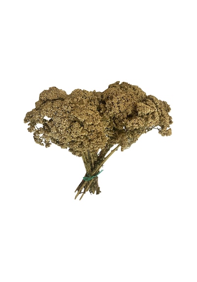 Beyaz Civanperçemi 75 Gr