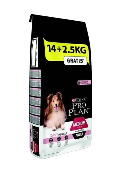 Orta Irk Somonlu Yetişkin Köpek Maması 16,5 Kg