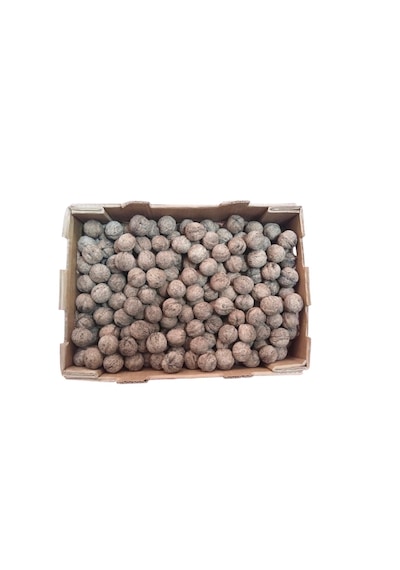 Yerli Ata Tohumu Topak Cinsi Yağlı Kabuklu Ceviz 1 KG
