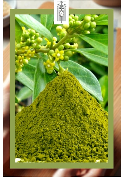 Organik Gurmar Gymnema Sylvestre Tozu 100g, Premium Gurmar Powder, Organik Vegan Katkısız