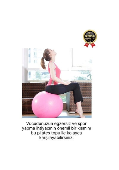 Premium Mini Gymball 20cm Jimnastik Denge Fitness Spor Şişirme Pompası Pembe Pilates Topu