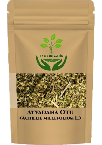 Ayvadana Otu Achillie Millefolium L. Civanperçemi 1000rg