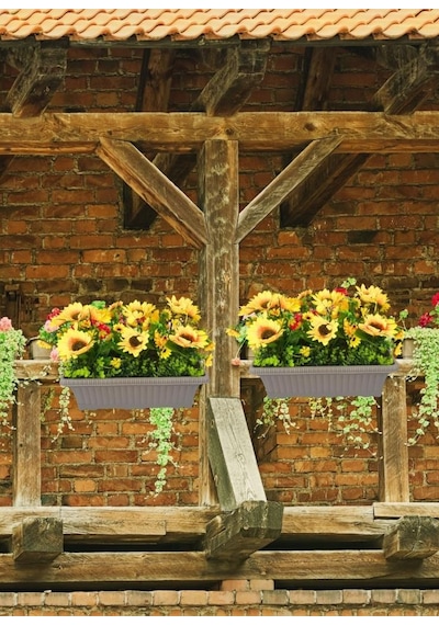 Yapay Çiçek Ay Çiçeği Mokka Küpeşte Askılı Saksıda Balkon Çiçeği