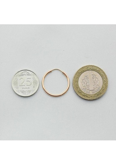 Pembe Altın Küçük Halka Küpe Çapı: 1.8cm Pembe Altın