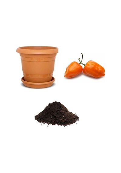 Ithal Çok Acı Habanero Biber Tohumu Ekim Seti