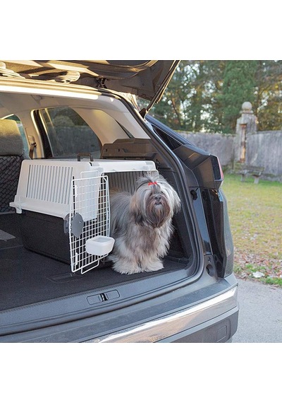 Ferplast Atlas 40 Orta Boy Köpekler İçin Taşıma Kutusu, Köpek Taşıma Kutusu, Güvenlik Kilidi, Havalandırma Izg
